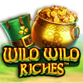 Wild Wild Riches logo