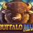 Buffalo Dale logo
